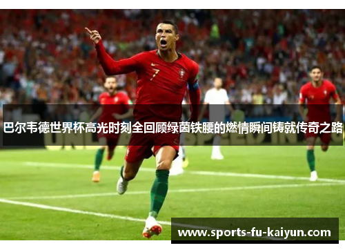 巴尔韦德世界杯高光时刻全回顾绿茵铁腰的燃情瞬间铸就传奇之路
